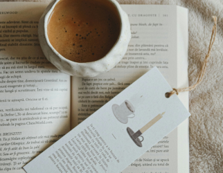 Le Livre à Prix Libre : Pourquoi Des Grains, Des Mots Révolutionne la Librairie d’Occasion dans l’Aude et le 66